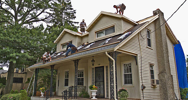 Best Metal Roofing Contractor  in Second Mesa, AZ